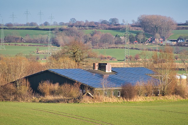 Eine ländliche Landschaft in Schleswig-Holstein zeigt ein Gewerbegebäude mit Sonnenkollektoren auf dem Dach, umgeben von Bäumen und Feldern, während sich in der Ferne Stromleitungen durch den klaren Himmel erstrecken.